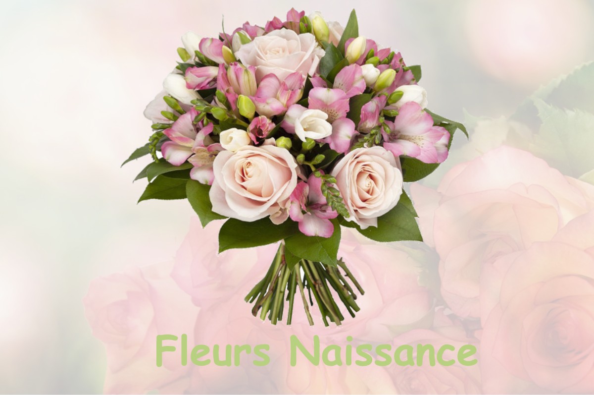 fleurs naissance TAILLANCOURT