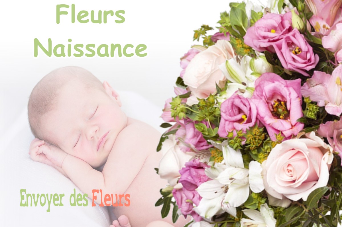 lIVRAISON FLEURS NAISSANCE à TAILLANCOURT